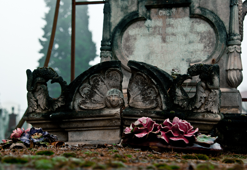 fleurs cimetière.jpg